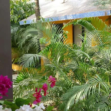 Mango Farm House Awas Alibaug-3